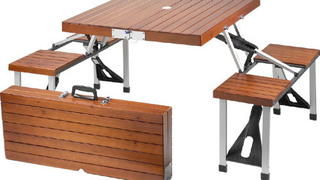 "What Else Could We Squeeze Into This Suitcase? A Picnic Table?"